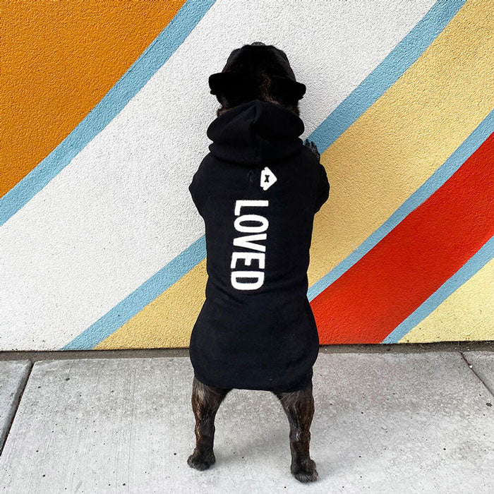 Oprah's Favorite Things! Black 'Loved' dog hoodie, back view