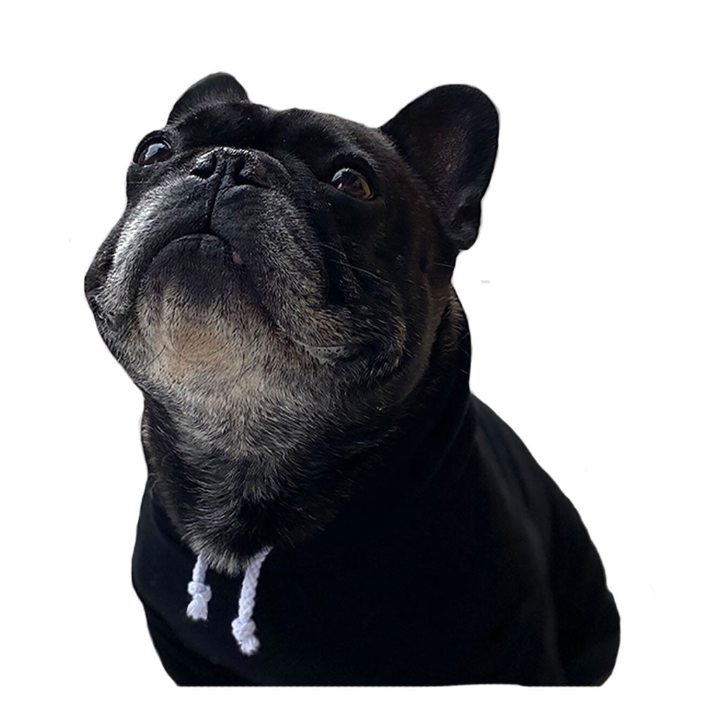 Oprah's Favorite Things! Black 'Loved' dog hoodie, front view