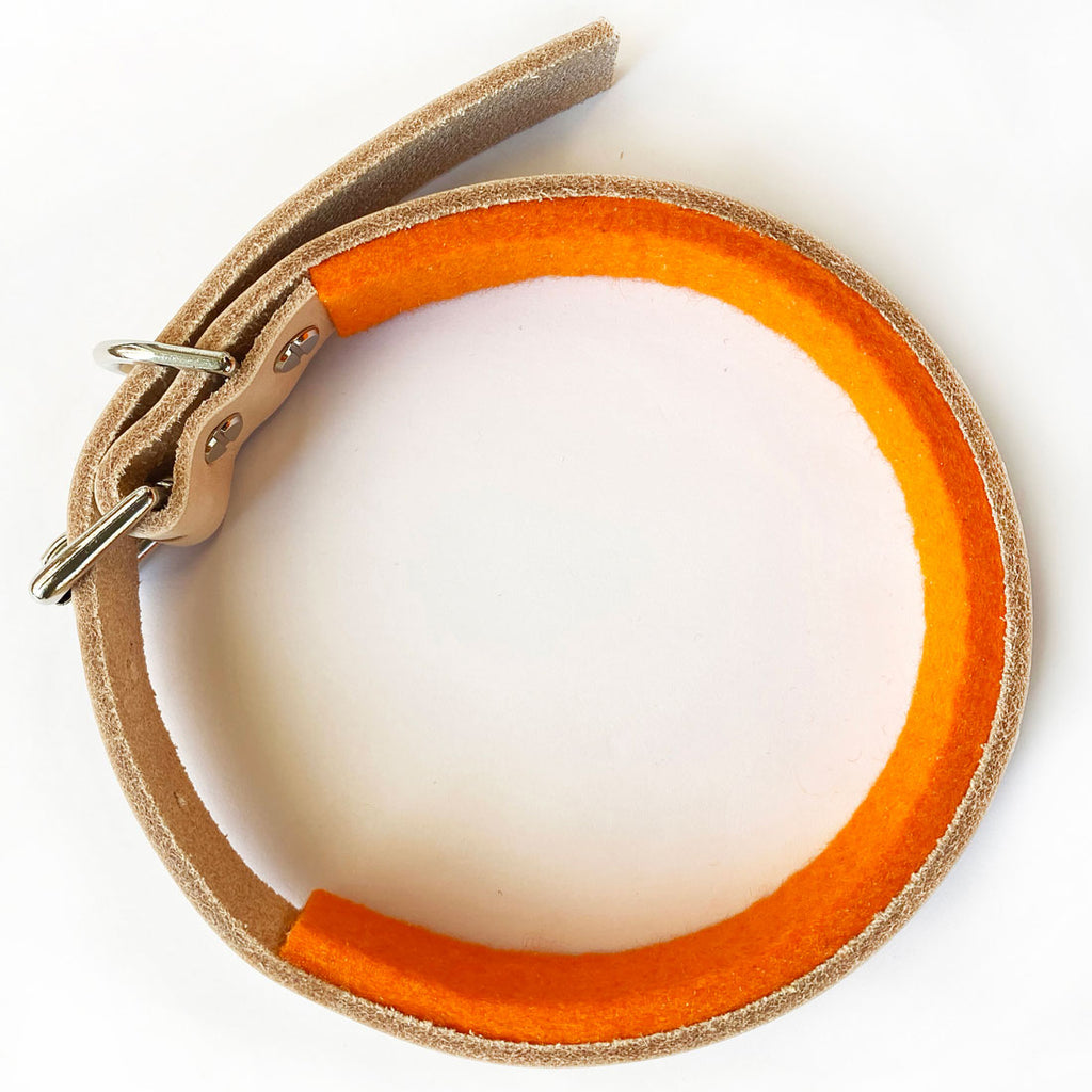 orange dog collar