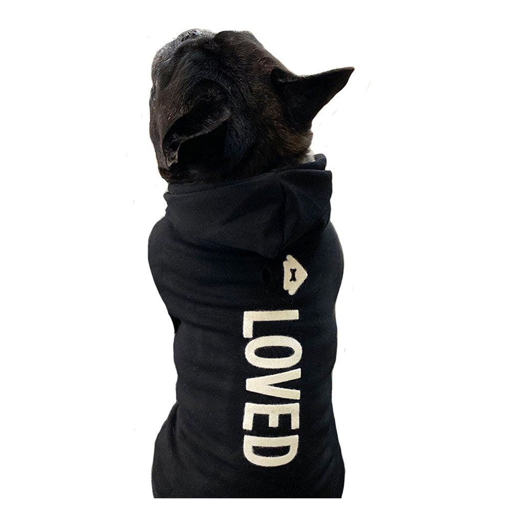 HYPE CLOTHES FOR DOGS  Designer dog clothes, Dog clothes, Dog hoodie