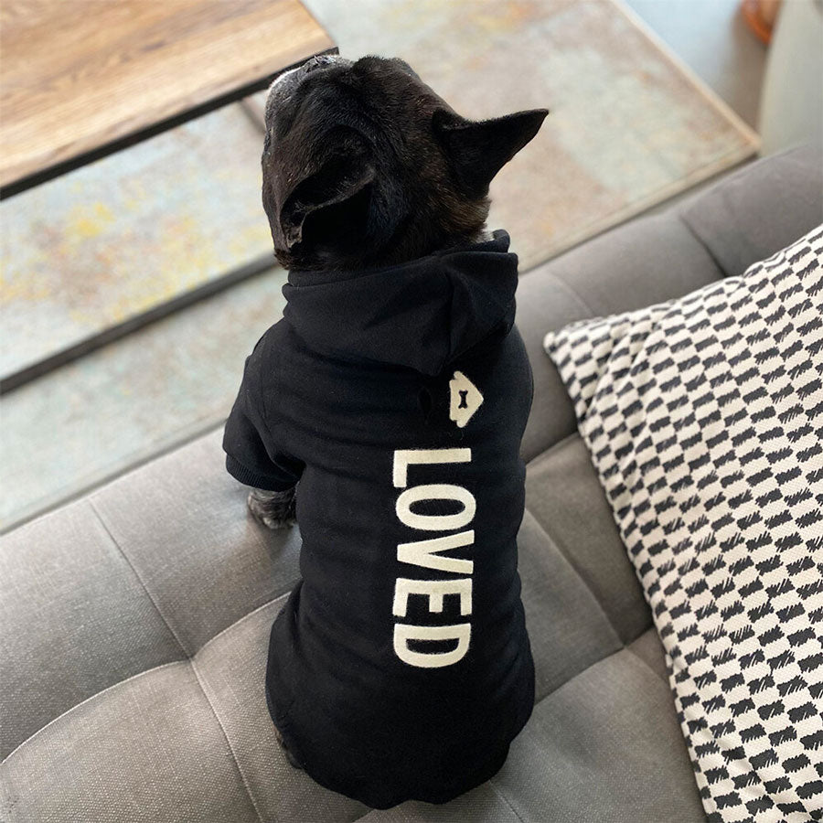 Oprah's Favorite Things! Black 'Loved' dog hoodie, back view