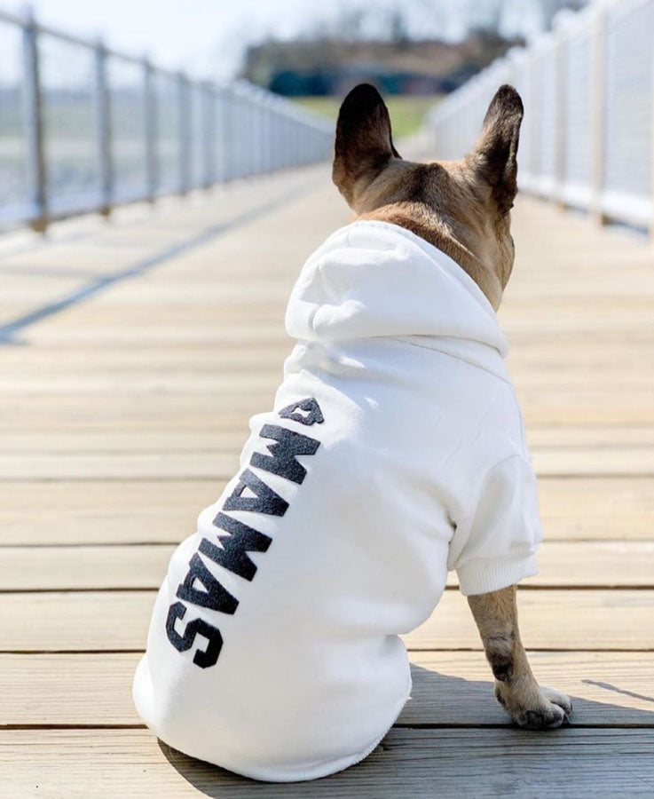 dog wearing customized cream white hoodie