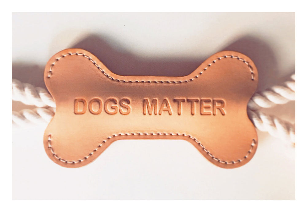 'Dogs Matter' bone