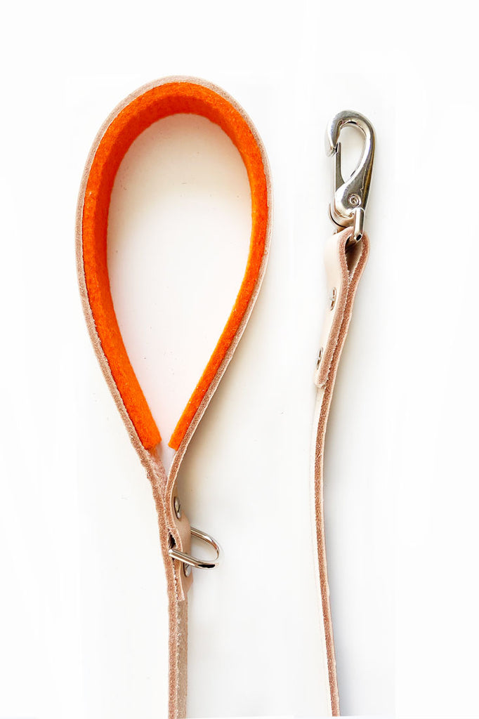 orange colored dog leash