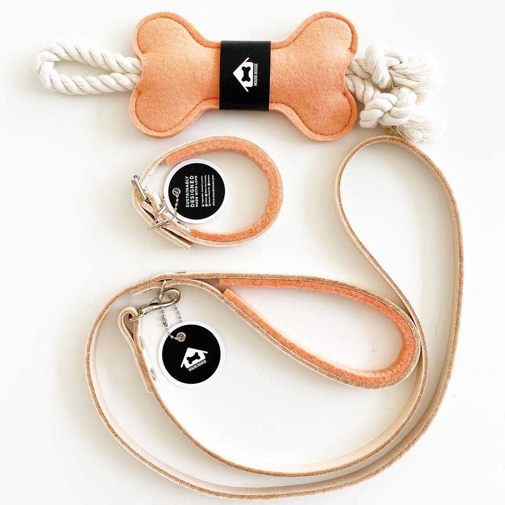 peach colored leash and toy