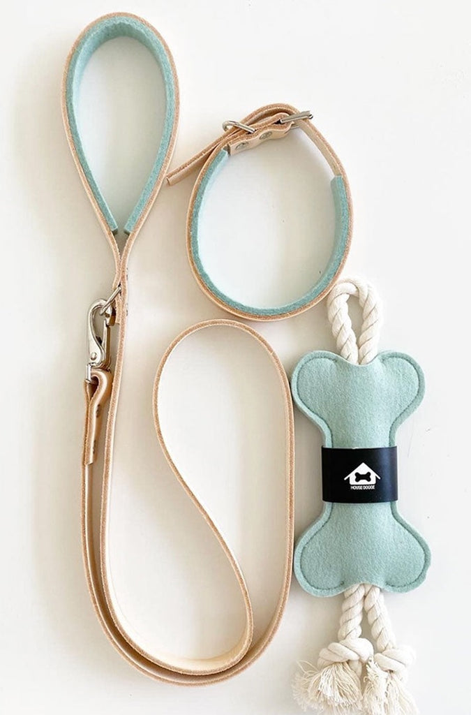 seafoam colored leash and toy