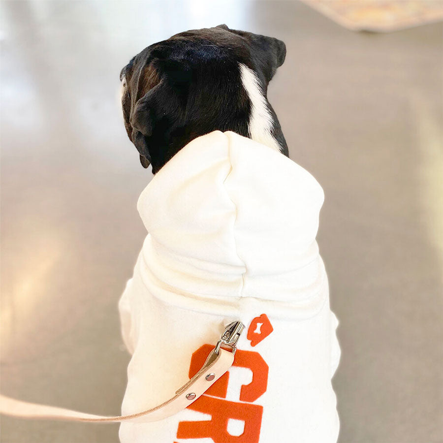 white 'grateful' dog hoodie, back view