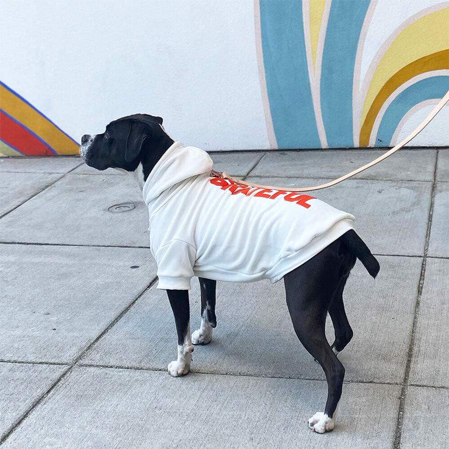 white 'grateful' dog hoodie, side view